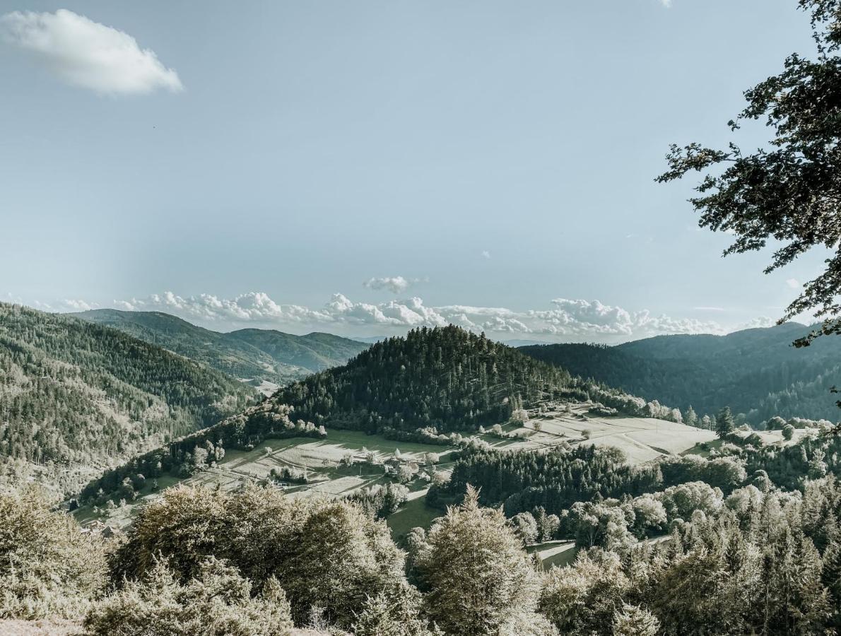 Lieblingsort - Schwarzwald Chalet Lodges 诺恩威格 外观 照片